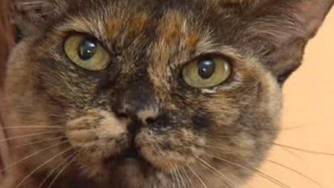 Chcete mě? - Chcete je?