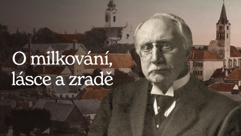 O milkování, lásce a zradě