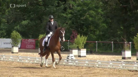 Jezdectví - M ČR v paradrezuře 2017 Brno