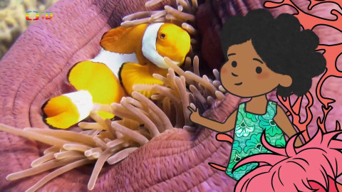 Velká kniha o zvířátkách - Epizoda 28/52