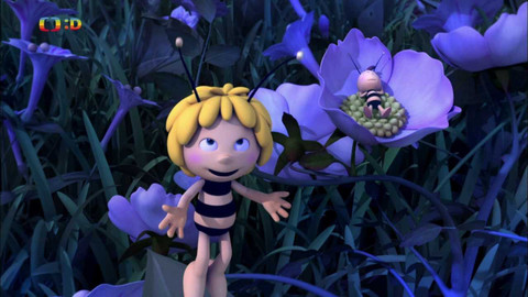 Včelka Mája - Noční květina