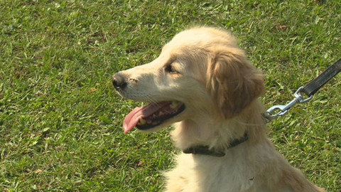 Chcete mě? - Chcete je?