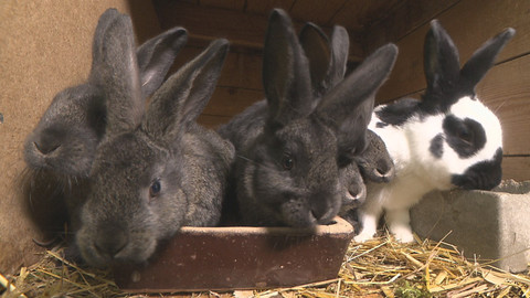 Chcete mě? - 22. května 2016