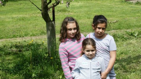 Ptáčata - 9/16 Facky do života