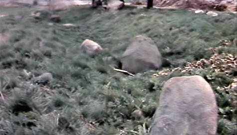 Archiv dne - 16. duben 1981: Kamenný program