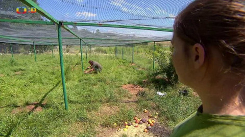 Terčin zvířecí svět - 4. prosince 2020