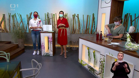 Sama doma - 20. března 2020