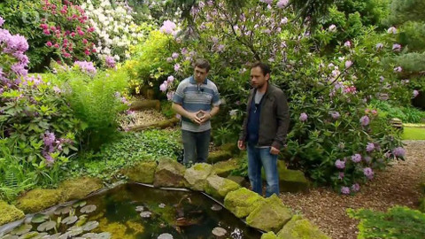 Polopatě - 19. června 2016