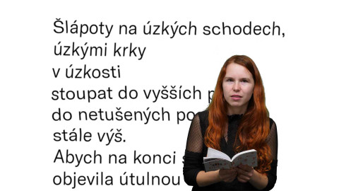 Jedna báseň - Tereza Šustková