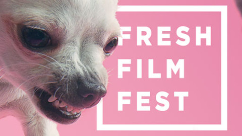 Fresh Film Fest 2013