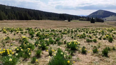 Regiony ČT24 - 3. května