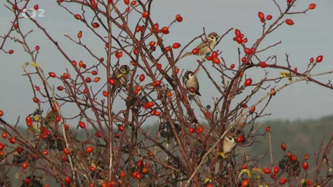Novinky z přírody - Epizoda 34/53
