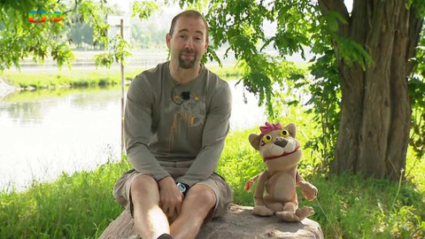 Lvíčata - 24. června 2017