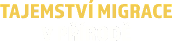 Tajemství migrace v přírodě