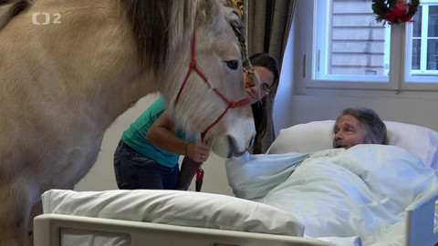 Klíč - 22. května 2024