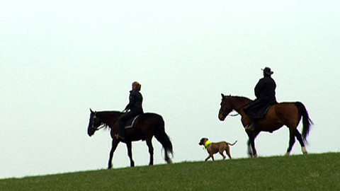 Máte mě! - 29. května 2011