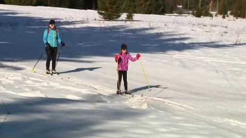 Běžkotoulky - Stožec na Šumavě