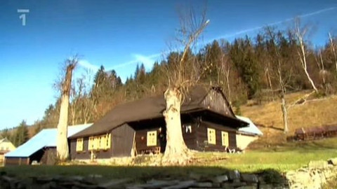 Chalupa je hra - 2. února 2010