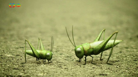 Mrňouskové - Hop, hop, hop!