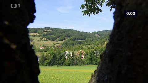 Týden v regionech (Brno) - 31. srpna 2019