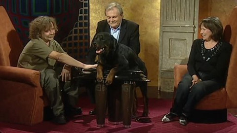 Všechnopárty - 18. října 2006