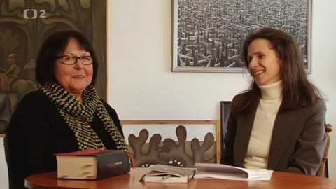 Čtenářský deník... - Anna Zonová: Za trest a za odměnu