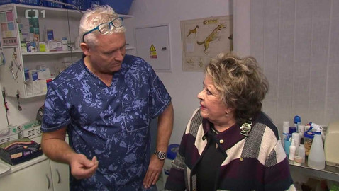 Hobby naší doby - 15. ledna 2022