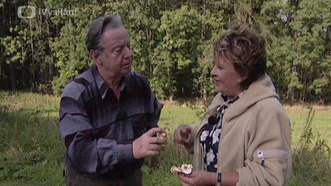 Dobrá rada nad zlato - 17. listopadu 2007