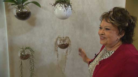 Hobby naší doby - 29. března 2014