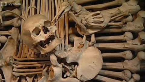 Toulavá kamera - 9. července 2006