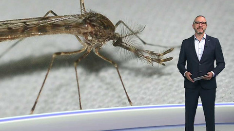 Horizont ČT24 - 24. října