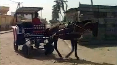 Můj mazlíček - 11/26 Amadou a jeho taxi-koník