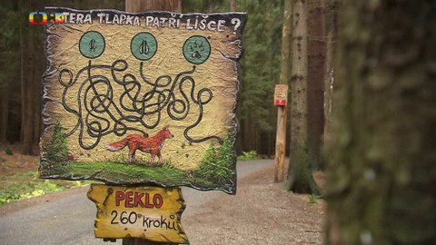 Tamtam - 21. listopadu 2020