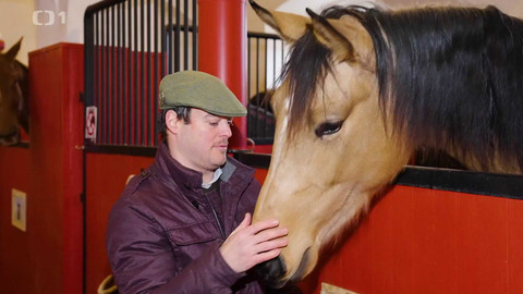 Toulavá kamera - 23. února