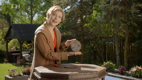 Všechno, co mám ráda - Epizoda 206/46