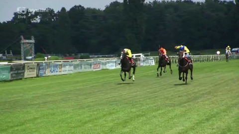 Dostihy - III. kvalifikace na 130. Velkou pardubickou se Slavia pojišťovnou