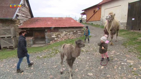 Zprávičky - 12. května 2020