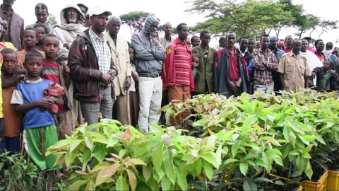 Objektiv - 19. března 2017