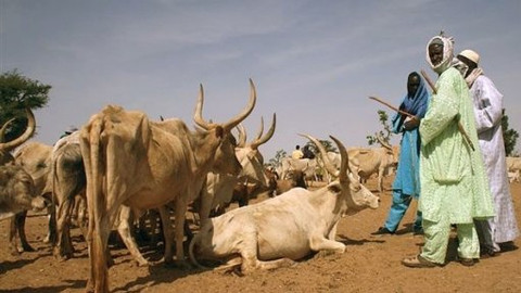 Na cestě - Na cestě po Senegalu