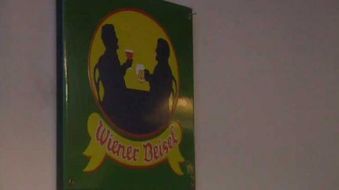 Postřehy odjinud - Rakousko očima Marie Woodhamsové