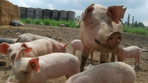 Chcete mě? - 25. září 2009