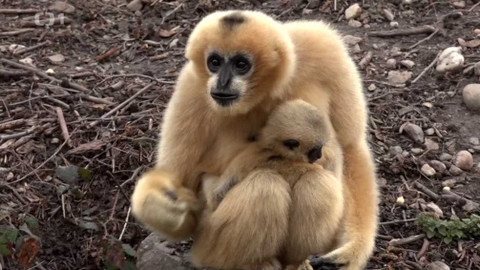 Toulavá kamera - 22. března 2020