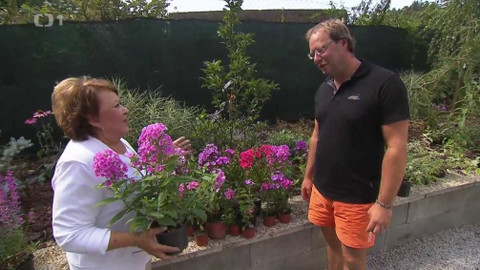 Hobby naší doby - 20. října 2018