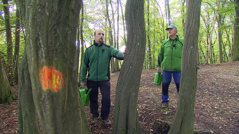 Nedej se! - Prevencí proti destrukci