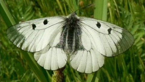 Přidej se - Přírodní park Sovinecko