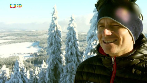 Lvíčata - 30. ledna 2016