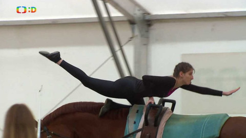 Terčin zvířecí svět - 17. dubna 2020