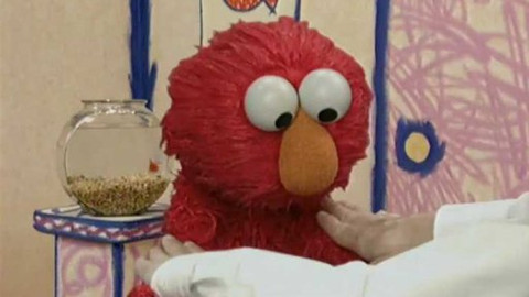 Svět Elmo - Epizoda 41/56