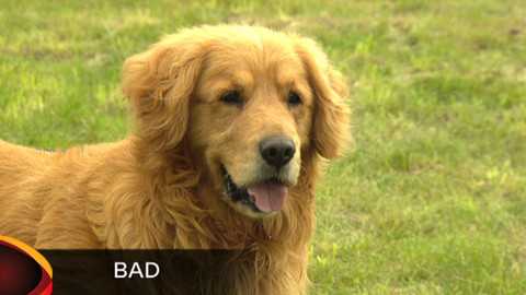 Chcete mě? - Chcete je?