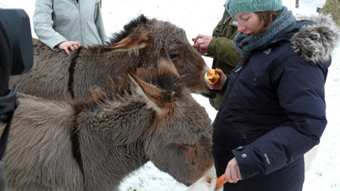 Malá farma - Kozí porodnice
